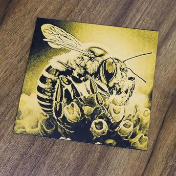 Introduction of Laser Scratch Acrylic - GreatCarve