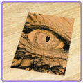 Introductory Kit - 4Pcs for Laser Engraving- GreatCarve